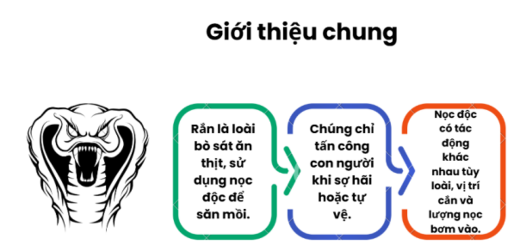 1. Giới thiệu